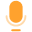 voice